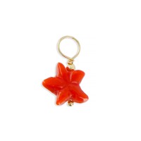 Étoile en corail rouge PDCORENF0013V
