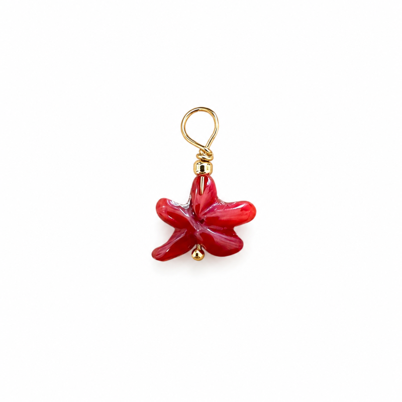 Pendentif étoile en corail rouge PDCORENF0013V