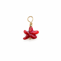Pendentif étoile en corail rouge PDCORENF0013V